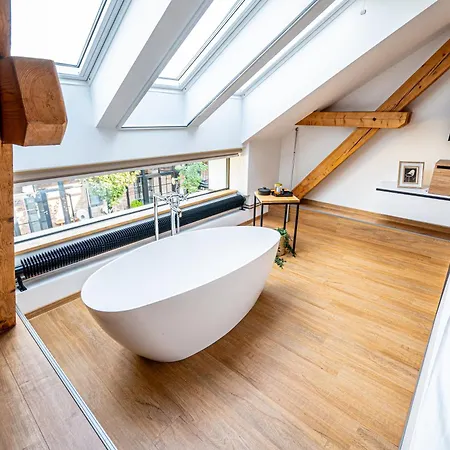 Hotel Galerie Mlyn *