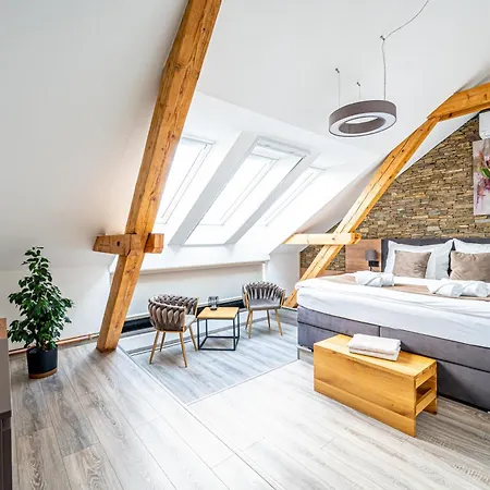 Hotel Galerie Mlyn
