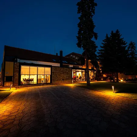 Hotel Galerie Mlyn *