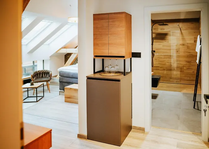 Hotel Galerie Mlyn *
