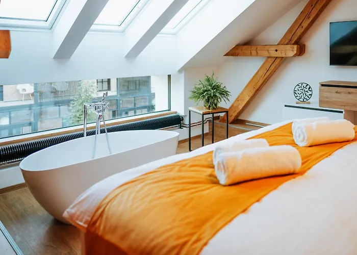 Hotel Galerie Mlyn