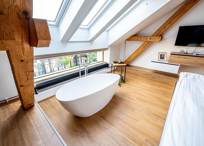 Hotel Galerie Mlyn *