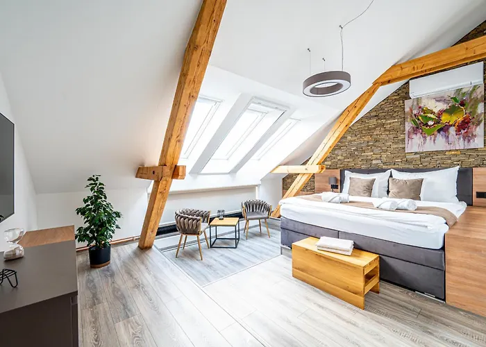 Hotel Galerie Mlyn